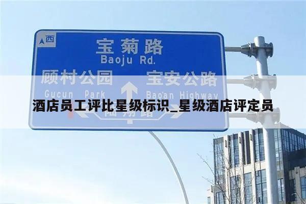 酒店员工评比星级标识_星级酒店评定员
