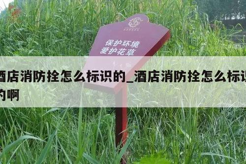 酒店消防拴怎么标识的_酒店消防拴怎么标识的啊