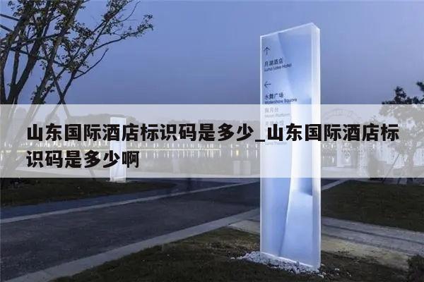 山东国际酒店标识码是多少_山东国际酒店标识码是多少啊