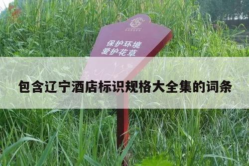 包含辽宁酒店标识规格大全集的词条