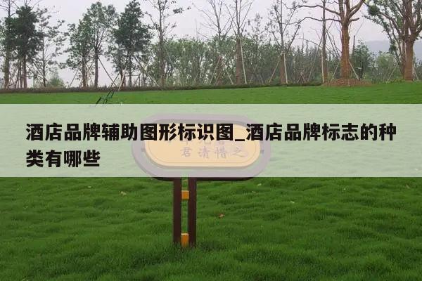 酒店品牌辅助图形标识图_酒店品牌标志的种类有哪些