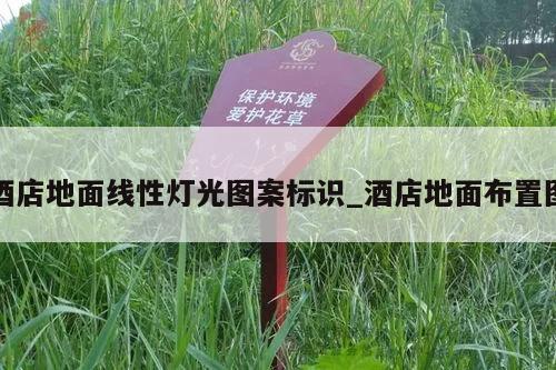酒店地面线性灯光图案标识_酒店地面布置图
