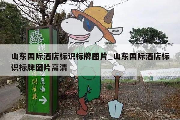 山东国际酒店标识标牌图片_山东国际酒店标识标牌图片高清