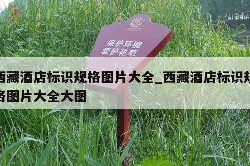 西藏酒店标识规格图片大全_西藏酒店标识规格图片大全大图