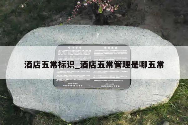 酒店五常标识_酒店五常管理是哪五常