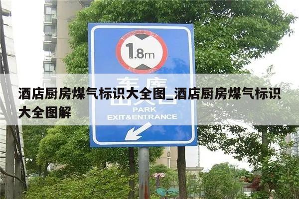酒店厨房煤气标识大全图_酒店厨房煤气标识大全图解