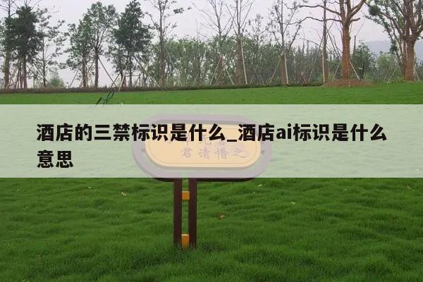 酒店的三禁标识是什么_酒店ai标识是什么意思