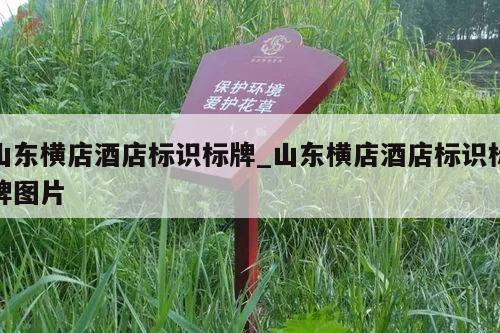 山东横店酒店标识标牌_山东横店酒店标识标牌图片
