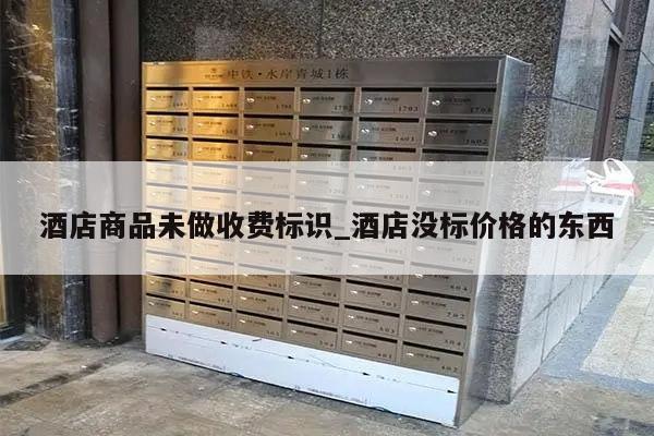 酒店商品未做收费标识_酒店没标价格的东西