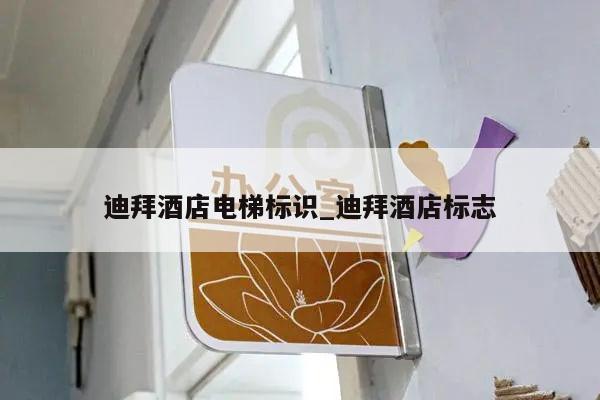 迪拜酒店电梯标识_迪拜酒店标志