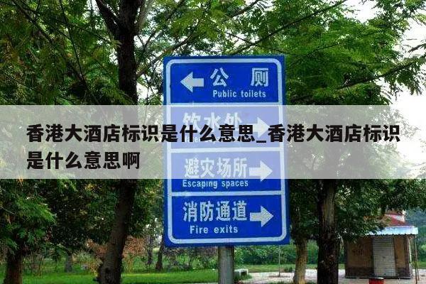 香港大酒店标识是什么意思_香港大酒店标识是什么意思啊