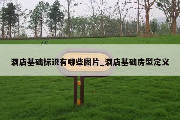 酒店基础标识有哪些图片_酒店基础房型定义