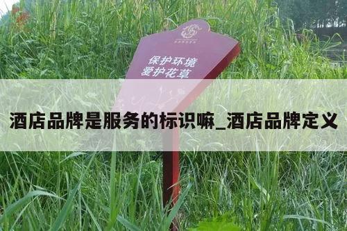 酒店品牌是服务的标识嘛_酒店品牌定义