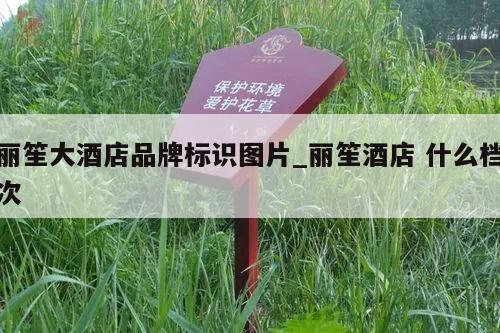 丽笙大酒店品牌标识图片_丽笙酒店 什么档次