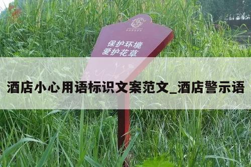 酒店小心用语标识文案范文_酒店警示语