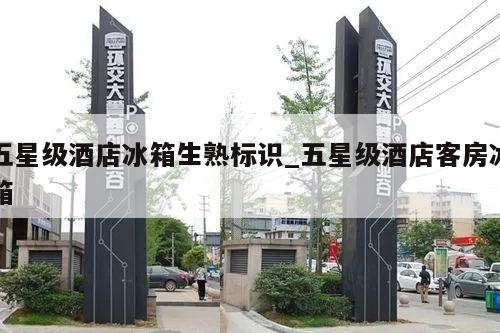 五星级酒店冰箱生熟标识_五星级酒店客房冰箱