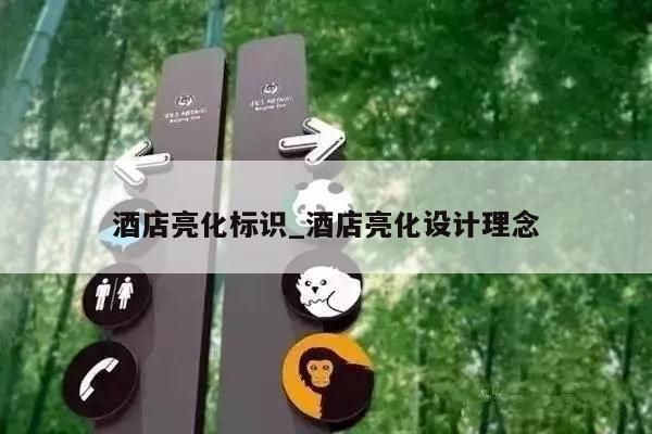 酒店亮化标识_酒店亮化设计理念