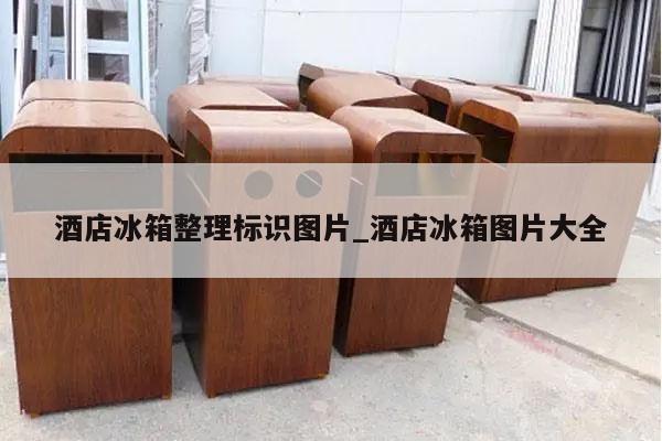 酒店冰箱整理标识图片_酒店冰箱图片大全
