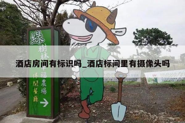 酒店房间有标识吗_酒店标间里有摄像头吗
