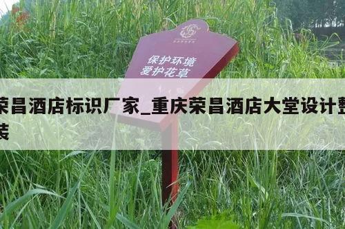 荣昌酒店标识厂家_重庆荣昌酒店大堂设计整装