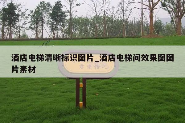 酒店电梯清晰标识图片_酒店电梯间效果图图片素材