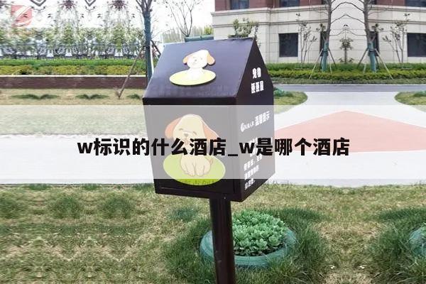 w标识的什么酒店_w是哪个酒店