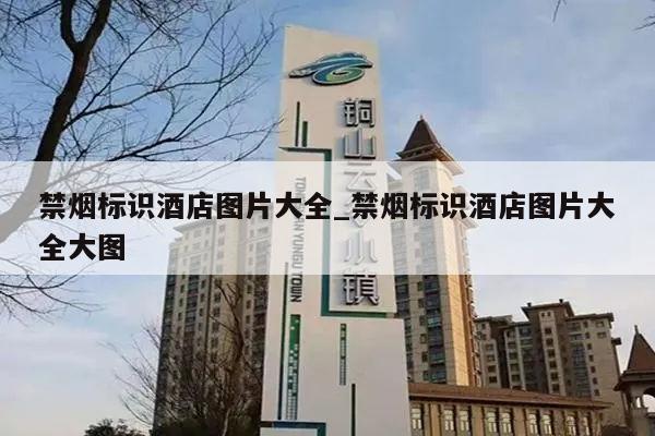 禁烟标识酒店图片大全_禁烟标识酒店图片大全大图