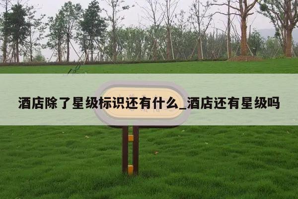 酒店除了星级标识还有什么_酒店还有星级吗