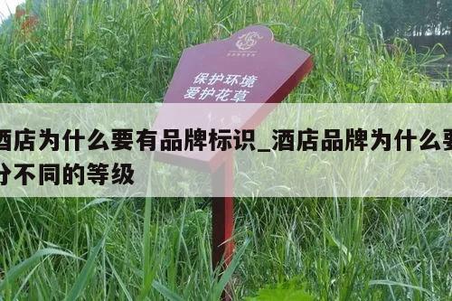 酒店为什么要有品牌标识_酒店品牌为什么要分不同的等级