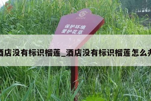 酒店没有标识榴莲_酒店没有标识榴莲怎么办