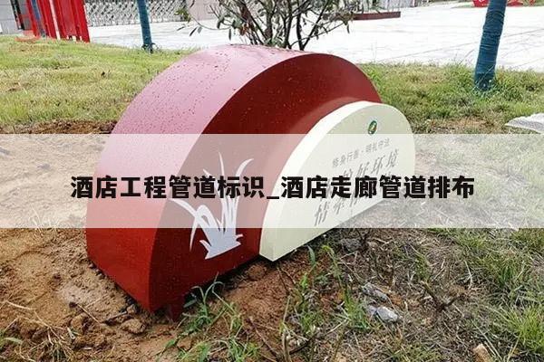 酒店工程管道标识_酒店走廊管道排布