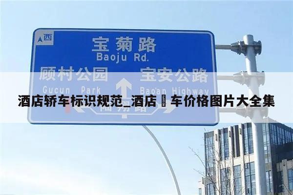 酒店轿车标识规范_酒店歺车价格图片大全集
