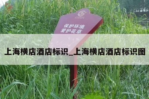 上海横店酒店标识_上海横店酒店标识图