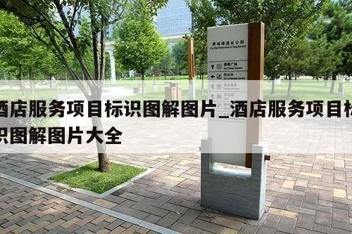 酒店服务项目标识图解图片_酒店服务项目标识图解图片大全