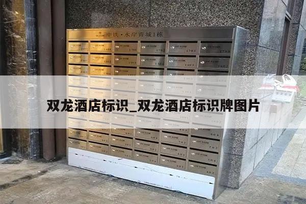 双龙酒店标识_双龙酒店标识牌图片