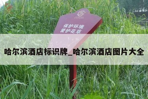 哈尔滨酒店标识牌_哈尔滨酒店图片大全