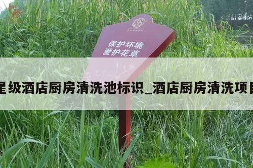 星级酒店厨房清洗池标识_酒店厨房清洗项目