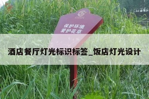 酒店餐厅灯光标识标签_饭店灯光设计