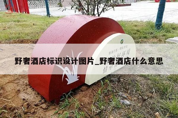 野奢酒店标识设计图片_野奢酒店什么意思