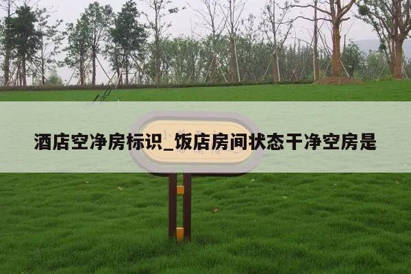 酒店空净房标识_饭店房间状态干净空房是