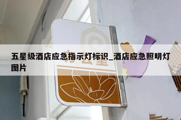五星级酒店应急指示灯标识_酒店应急照明灯图片