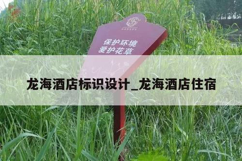龙海酒店标识设计_龙海酒店住宿