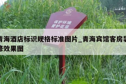 青海酒店标识规格标准图片_青海宾馆客房装修效果图