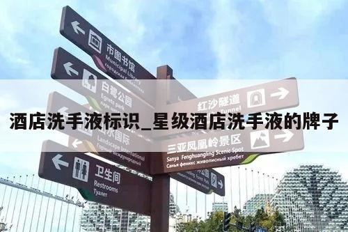 酒店洗手液标识_星级酒店洗手液的牌子
