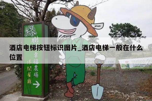 酒店电梯按钮标识图片_酒店电梯一般在什么位置