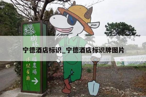 宁德酒店标识_宁德酒店标识牌图片