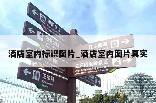 酒店室内标识图片_酒店室内图片真实