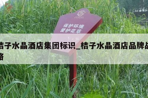 桔子水晶酒店集团标识_桔子水晶酒店品牌战略